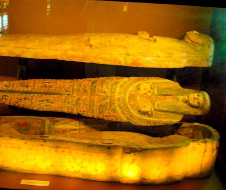 Archeological Museum Krakow