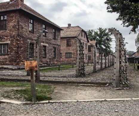 [Without Guide] Auschwitz - Birkenau from Krakow (Transportation &amp; Entry Ticket)